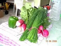 10.06.08 Garten 021.webp