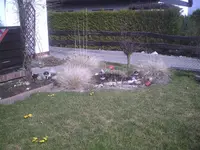 PIC00377.webp