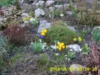 SA500172.webp
