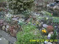 SA500178.webp
