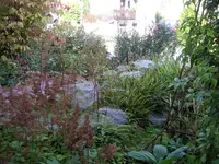 0010 Spinnwebennetze im Vorgarten.webp