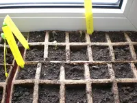 Gartenkinderstube1 003.webp