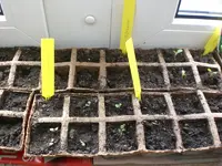 Gartenkinderstube1 004.webp