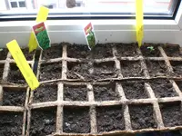 Gartenkinderstube1 005.webp