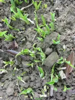Bild 016.webp
