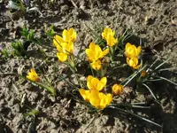 Bild 011.webp