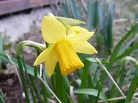 P1030285.webp