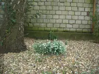CIMG2392.webp