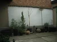 CIMG2390.webp