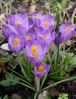 003.webp