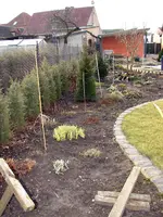 2009KW11_9839.webp
