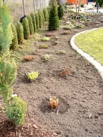 2009KW11_9842.webp