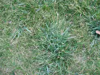 005.webp