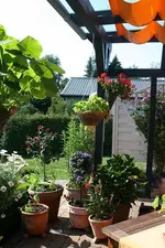 Terrasserechts_klein.webp