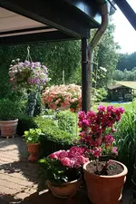 Terrasselinks_klein.webp