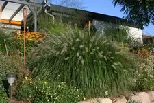 Lampenputzer 300808_klein.webp