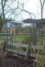 Rosenbogen mit 2 Rosen_klein.webp