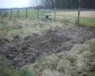 IMGP1135_Bildgröße ändern.webp IMGP1135_Bildgröße ändern.webp