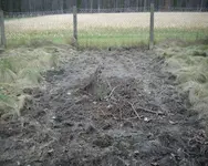 IMGP1136_Bildgröße ändern.webp IMGP1136_Bildgröße ändern.webp