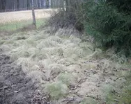 IMGP1138_Bildgröße ändern.webp IMGP1138_Bildgröße ändern.webp