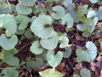 13-03-09_1708.webp