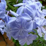 P1020030.webp
