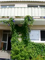 PICT0023.webp