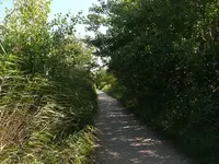 k-P1020468.webp
