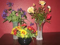 trixi nov 008.webp