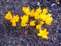 Untermir ist seit 17.03. wieder im Spital 003.webp