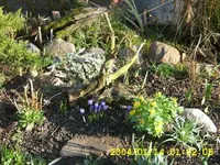 frühling 03-18.webp
