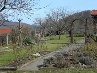 Garten März 2 005.webp