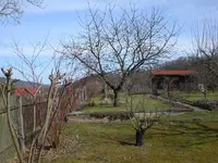 Garten März 2 006.webp