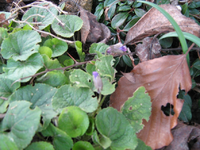 IMG_1424.webp