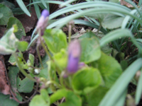 IMG_1425.webp