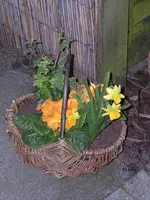 Garten 019.webp