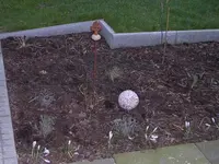 Garten 024.webp