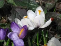 1.April 2006 3.webp