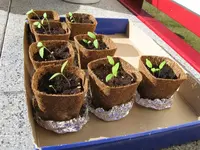 IMG_0669_klein.webp