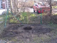 Garten.webp