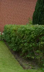 Bild 035.webp