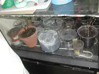 DSCN3688.webp