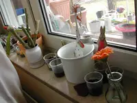 DSCN3690.webp