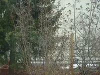 002.webp