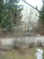 003.webp