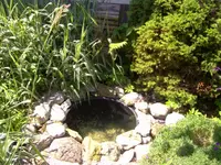 kl. Teich.webp