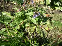 CIMG5116.webp