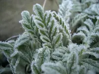 CIMG5124.webp