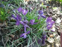 CIMG5135.webp