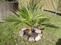 DSC00180.webp